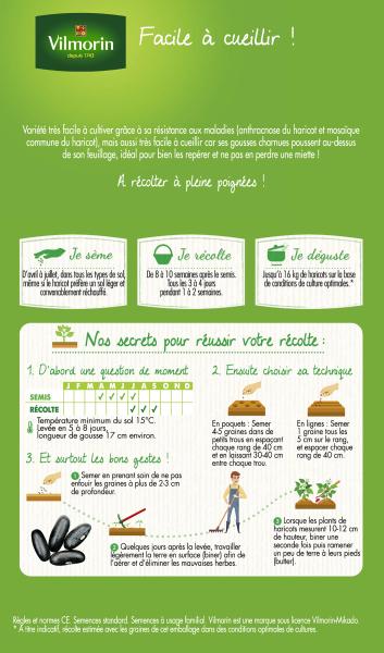 Légumes Secs - Haricot nain vert sans fil Majestik - MEDIA_PACKAGING_VERSO